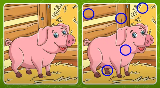 retos visuales desigualdades