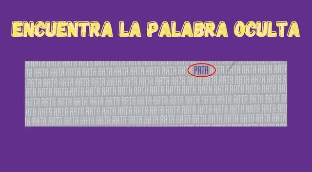 Retos visuales Retos visuales