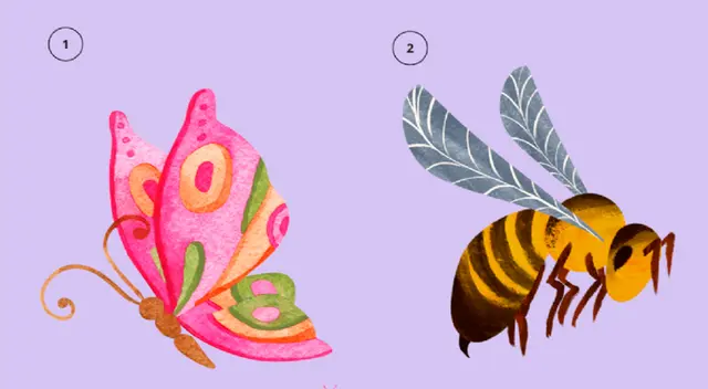 Atrévete a resolver uno de los test de personalidad más interesante. Atrévete a resolver uno de los test de personalidad más interesante.