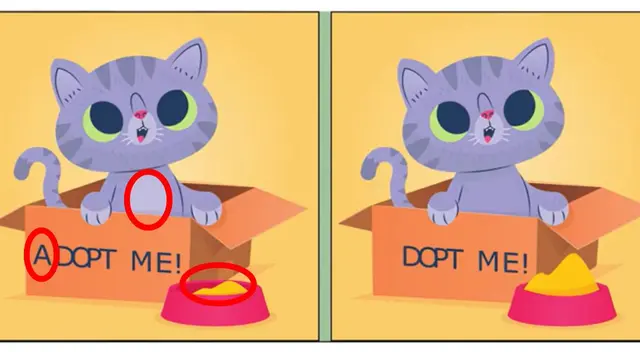 reto visual reto visual