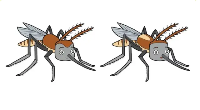 ¿Cuáles son las diferencias? Analiza y triunfa en 8 segundos ¿Cuáles son las diferencias? Analiza y triunfa en 8 segundos