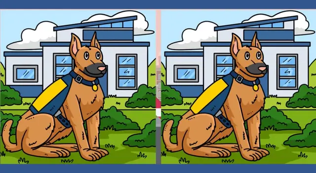 Son  contados los usuarios que resolvieron correctamente este ejercicio mental.