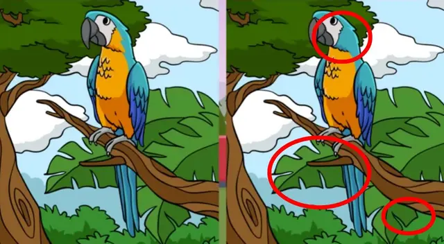 retos visuales