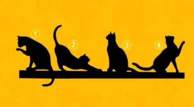 Conoce más sobre tu personalidad con este test Conoce más sobre tu personalidad con este test