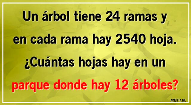 acertijo visual