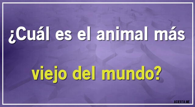Para unirte a los VENCEDORES, tendrás que poner tu máxima concentración para resolver el acertijo visual.