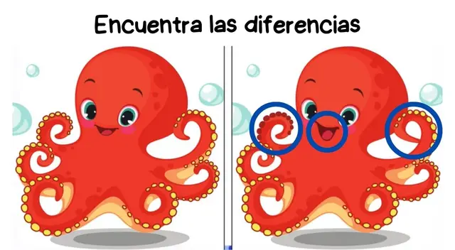 retos visuales retos visuales