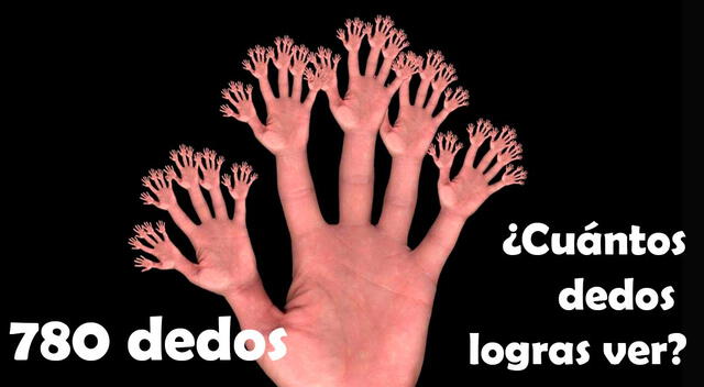reto visual
