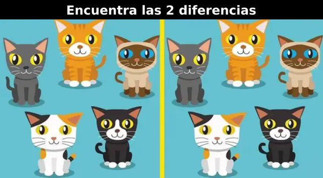 Halla las diferencias en los gatos en solo 5 segundos. Halla las diferencias en los gatos en solo 5 segundos.