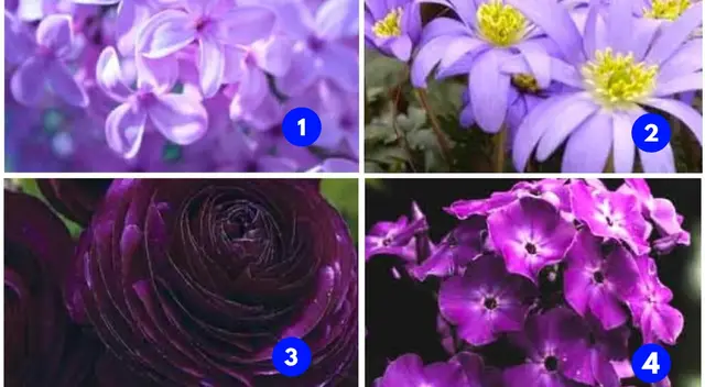 Este test te mostrará cualidades importantes de tu ser Este test te mostrará cualidades importantes de tu ser