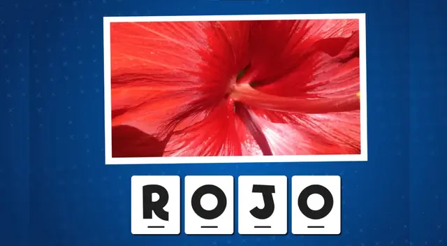 Reto visual