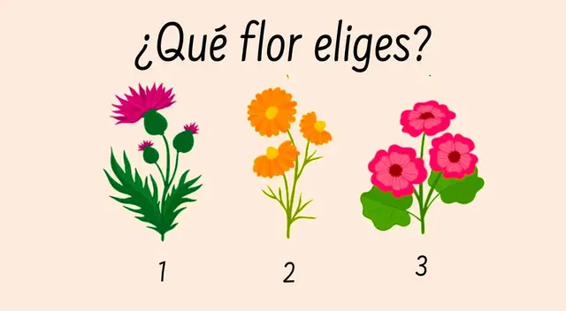 Si quieres conocer más de ti, entonces no dudes en resolver el test de personalidad.