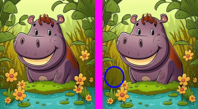 retos visuales retos visuales