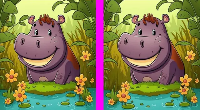 Solo los verdaderos observadores pueden identificar el objetivo del reto extremo Solo los verdaderos observadores pueden identificar el objetivo del reto extremo