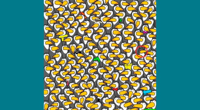 retos visuales retos visuales