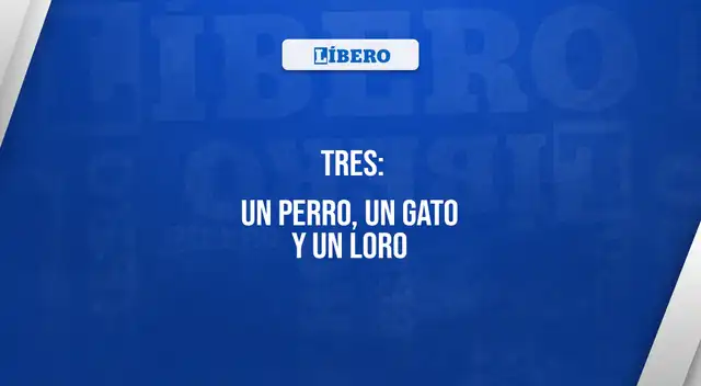 Acertijo visual