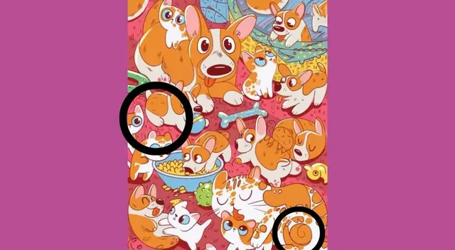 reto visual reto visual