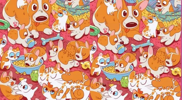 Las personas se les complica encontrar ambos animales entre los perritos. Las personas se les complica encontrar ambos animales entre los perritos.