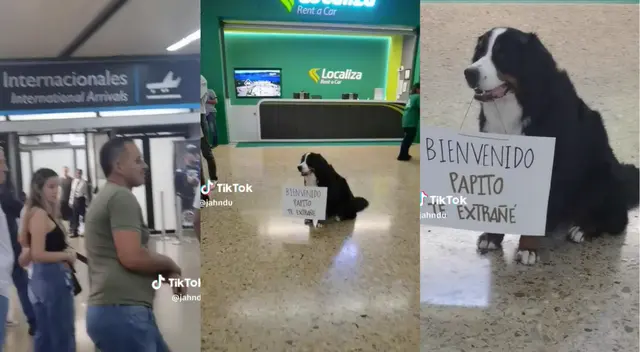 Perrito espera a su dueño y se vuelve viral.