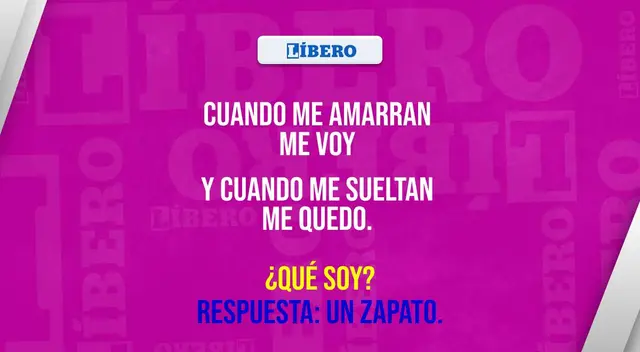 acertijo visual