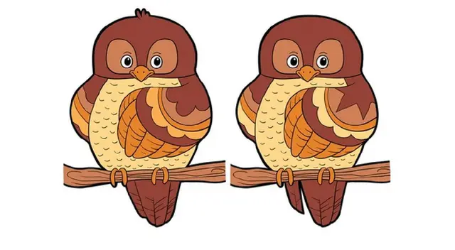 ¿Ves las 3 diferencias presentes? Analiza el búho y triunfa ¿Ves las 3 diferencias presentes? Analiza el búho y triunfa