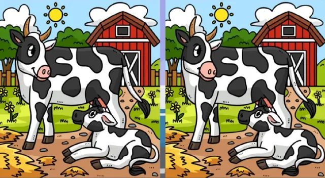 Desarrolla este nuevo reto visual y conoce si cuentas con una excelente memoria.