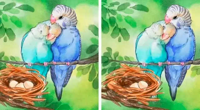 En caso de que quieras una ayuda extra para resolver este reto visual, llama a un familiar o amigo. En caso de que quieras una ayuda extra para resolver este reto visual, llama a un familiar o amigo.