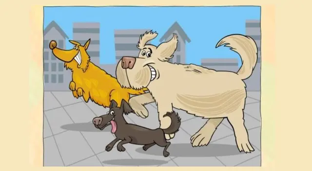 Si tienes buena vista hallarás la 5 diferencias en los perritos.