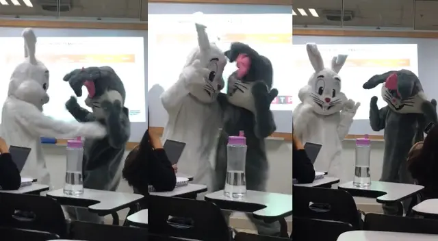 Alumnos de la UTP salen a bailar disfrazados de conejos. Alumnos de la UTP salen a bailar disfrazados de conejos.