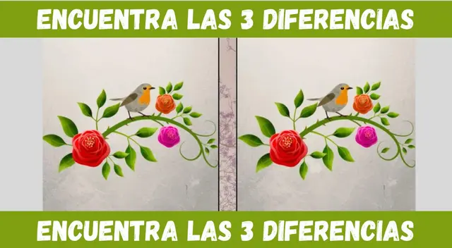 Encuentra las 3 diferencias en tan solo 5 segundos Encuentra las 3 diferencias en tan solo 5 segundos