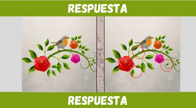 Retos visuales Retos visuales