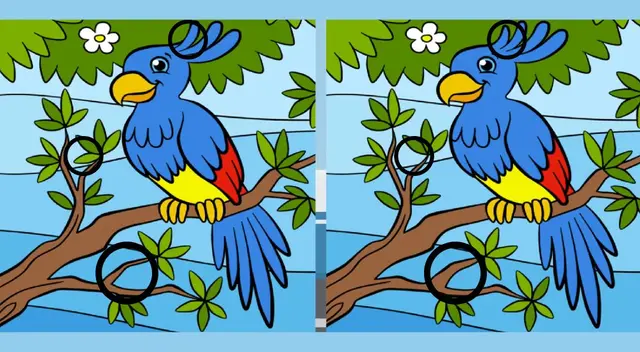 reto visual reto visual