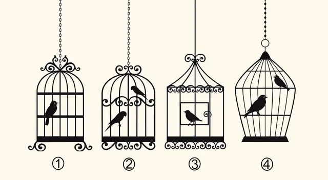 Analiza cada jaula y quédate con la que más se adecúe a ti para que así conozcas detalles asombrosos de tu personalidad.