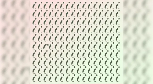 Una R se oculta entre las I de la imagen de este reto visual extremo. ¿La descubrirás?