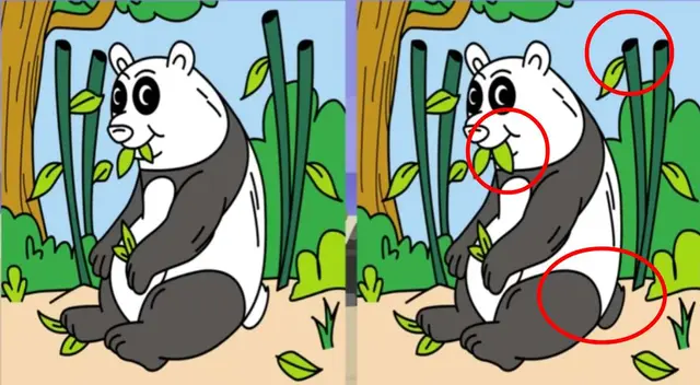 retos visuales retos visuales