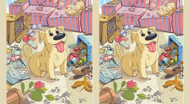 Ubicar ambas figuras no será tan fácil de lograrlo en el tiempo indicado.