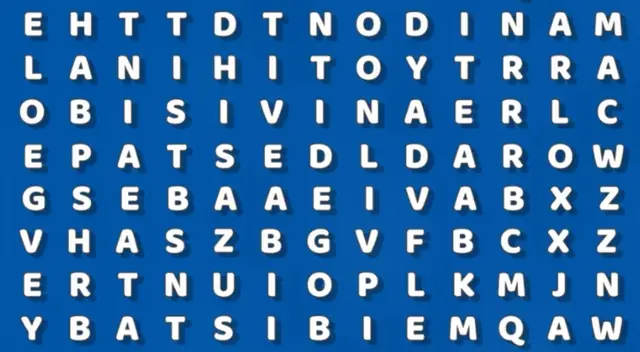 Agudiza tus sentidos y halla la palabra oculta.