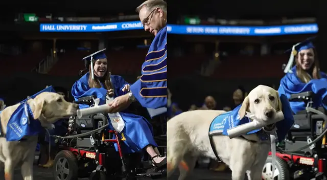 Perrito se gradua junto a su dueña. Perrito se gradua junto a su dueña.