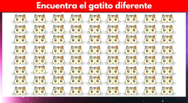 Este reto es para quienes tienen una vista de depredador