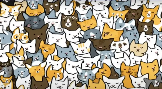 ¿Podrás ubicar al conejo oculto?