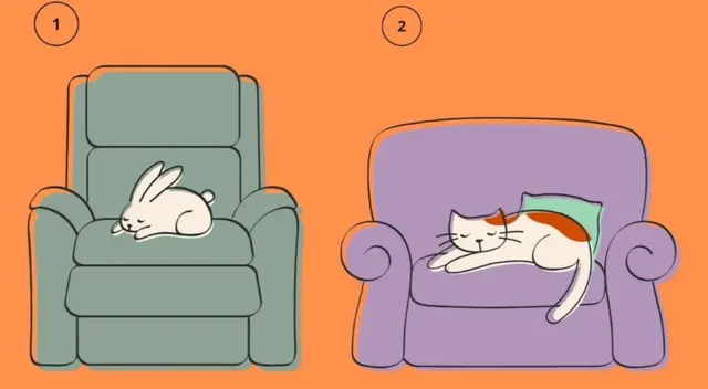 Solo debes utilizar tu intuición visual en este test de personalidad.