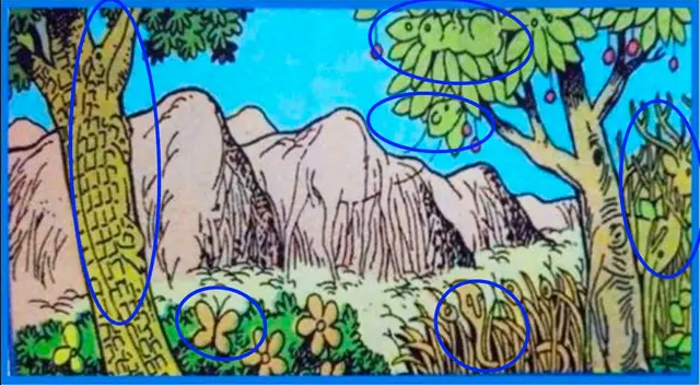 reto visual reto visual