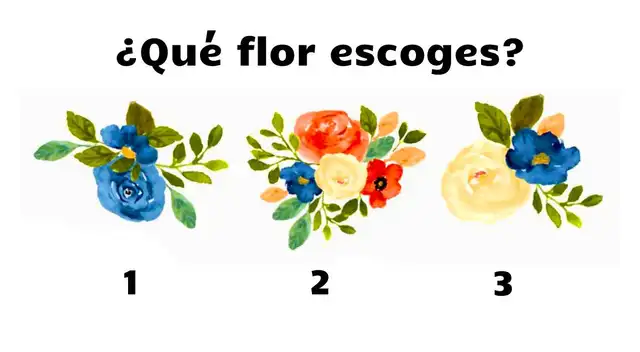 Para conocer más de ti, solo necesitas desarrollar este nuevo test de personalidad.