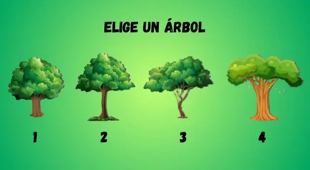 La mayoría de usuarios quedaron asombrados por los resultados del test visual.