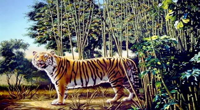 Solo tienes 7 segundos para encontrar al tigre escondido del reto visual y demostrar cuál es tu verdadero potencial. Solo tienes 7 segundos para encontrar al tigre escondido del reto visual y demostrar cuál es tu verdadero potencial.