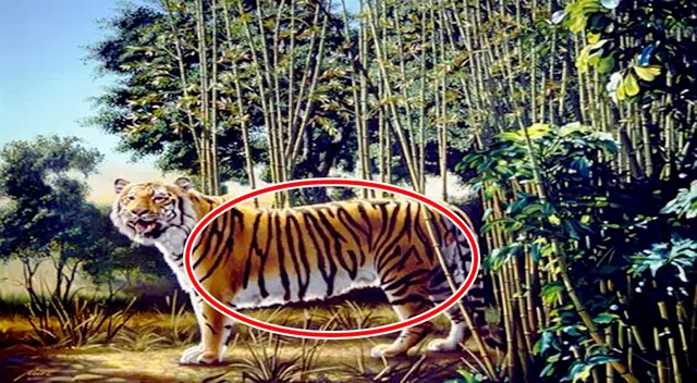 reto visual reto visual