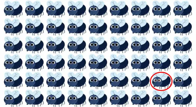 retos visuales retos visuales