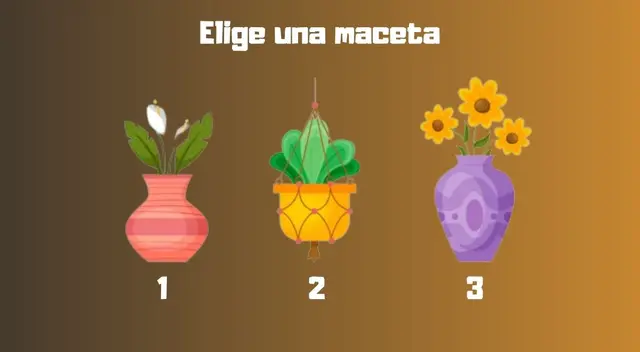 Los usuarios quedaron conformes por los resultados emitidos del test visual. Los usuarios quedaron conformes por los resultados emitidos del test visual.