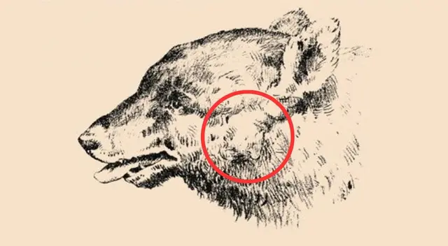 reto visual reto visual