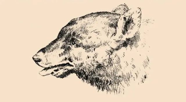 Analiza todos los detalles de la imagen y encuentra el objetivo en tiempo récord. Analiza todos los detalles de la imagen y encuentra el objetivo en tiempo récord.